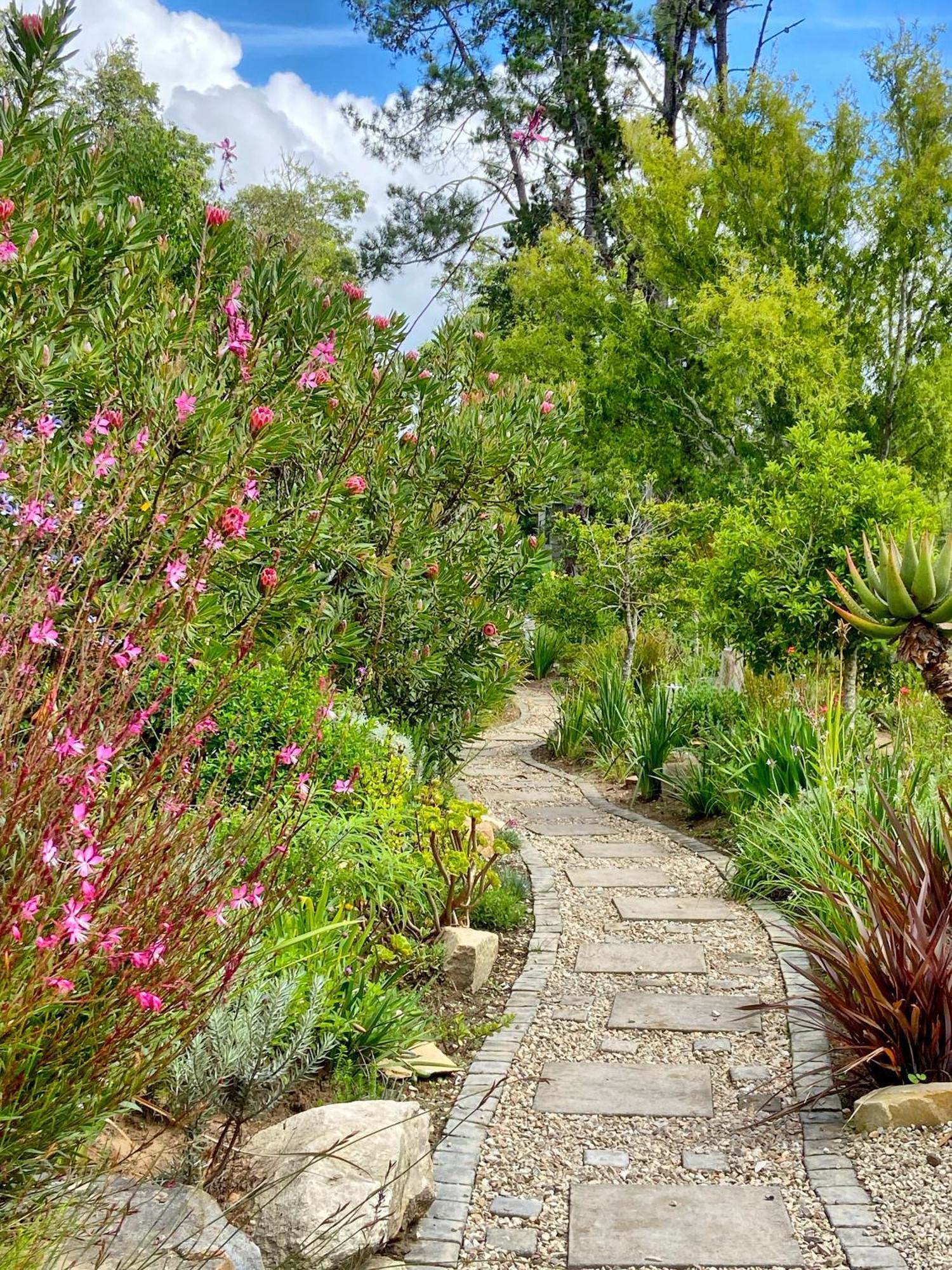 Hotel Woodlands Self Catering Knysna Exterior foto