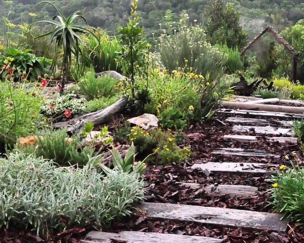 Hotel Woodlands Self Catering Knysna Exterior foto