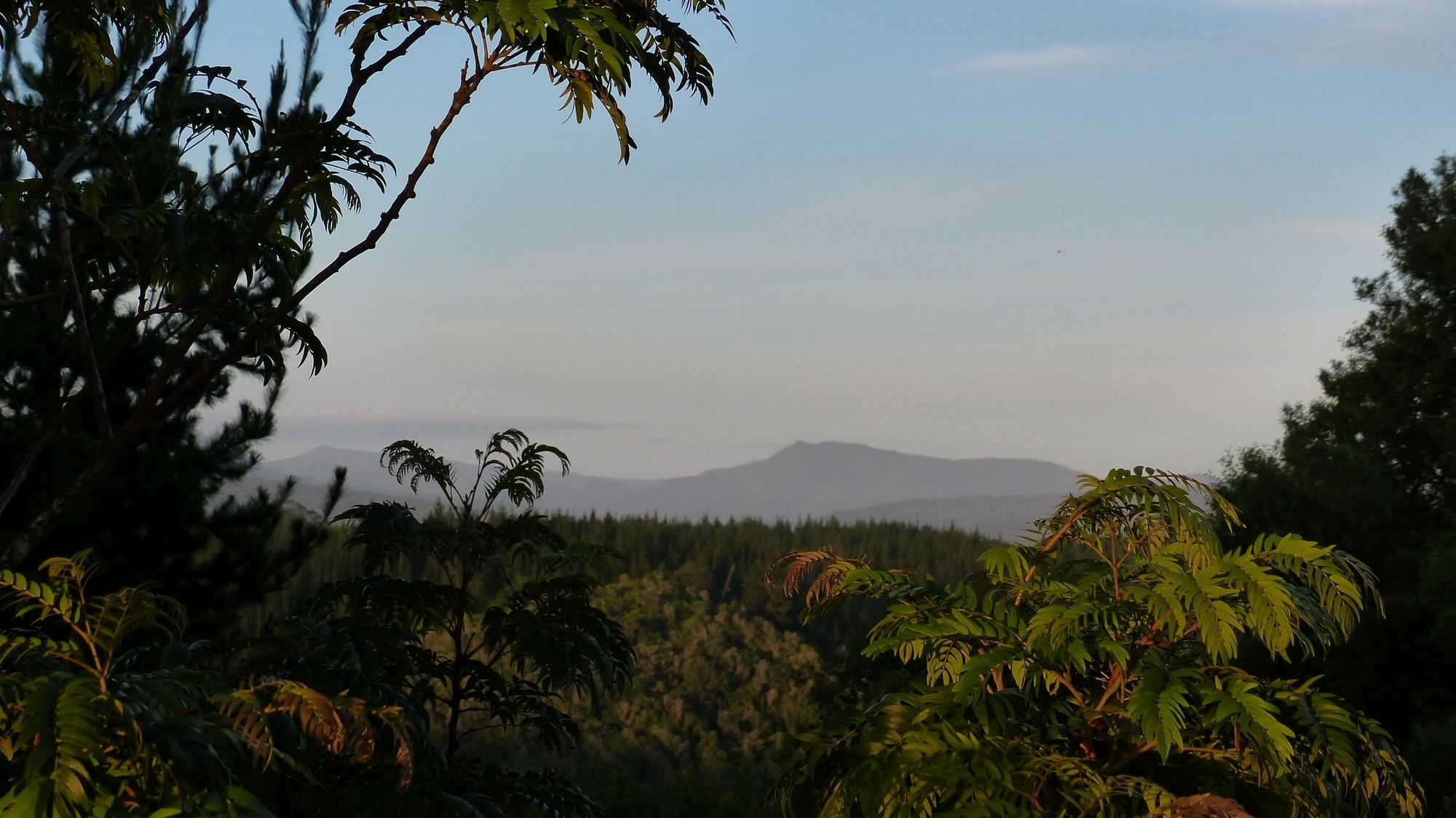 Hotel Woodlands Self Catering Knysna Exterior foto