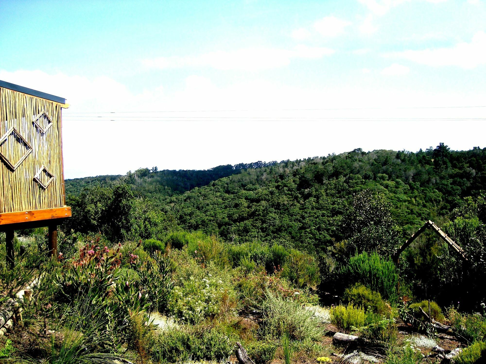 Hotel Woodlands Self Catering Knysna Exterior foto